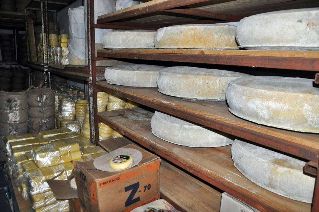 O kentin meşhur peyniri tescillendi: Kilosu 650 TL! Yılda 200 ton üretiliyor, kapış kapış satılıyor 12